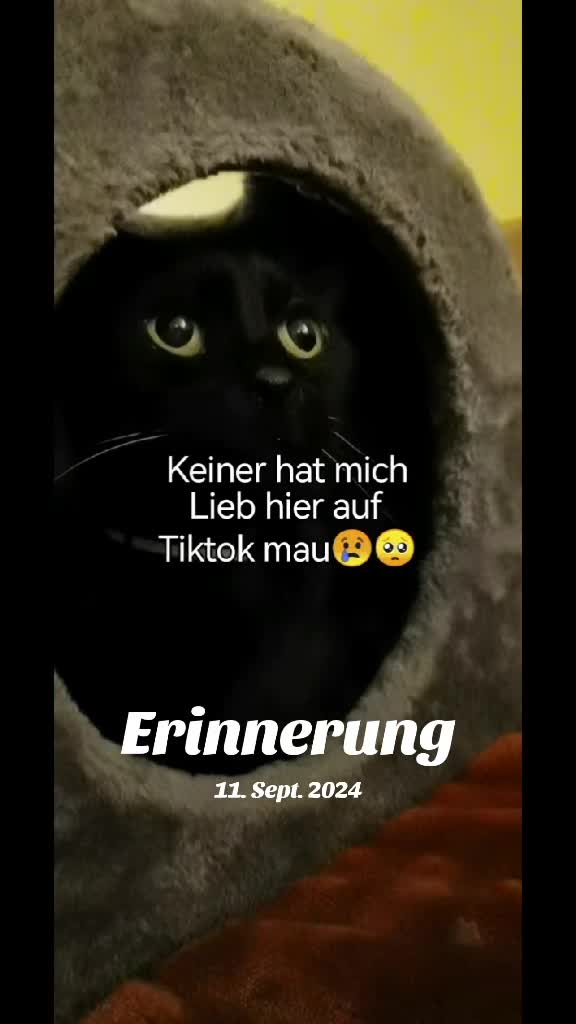 @juli🇩🇪🇺🇸🇷🇺