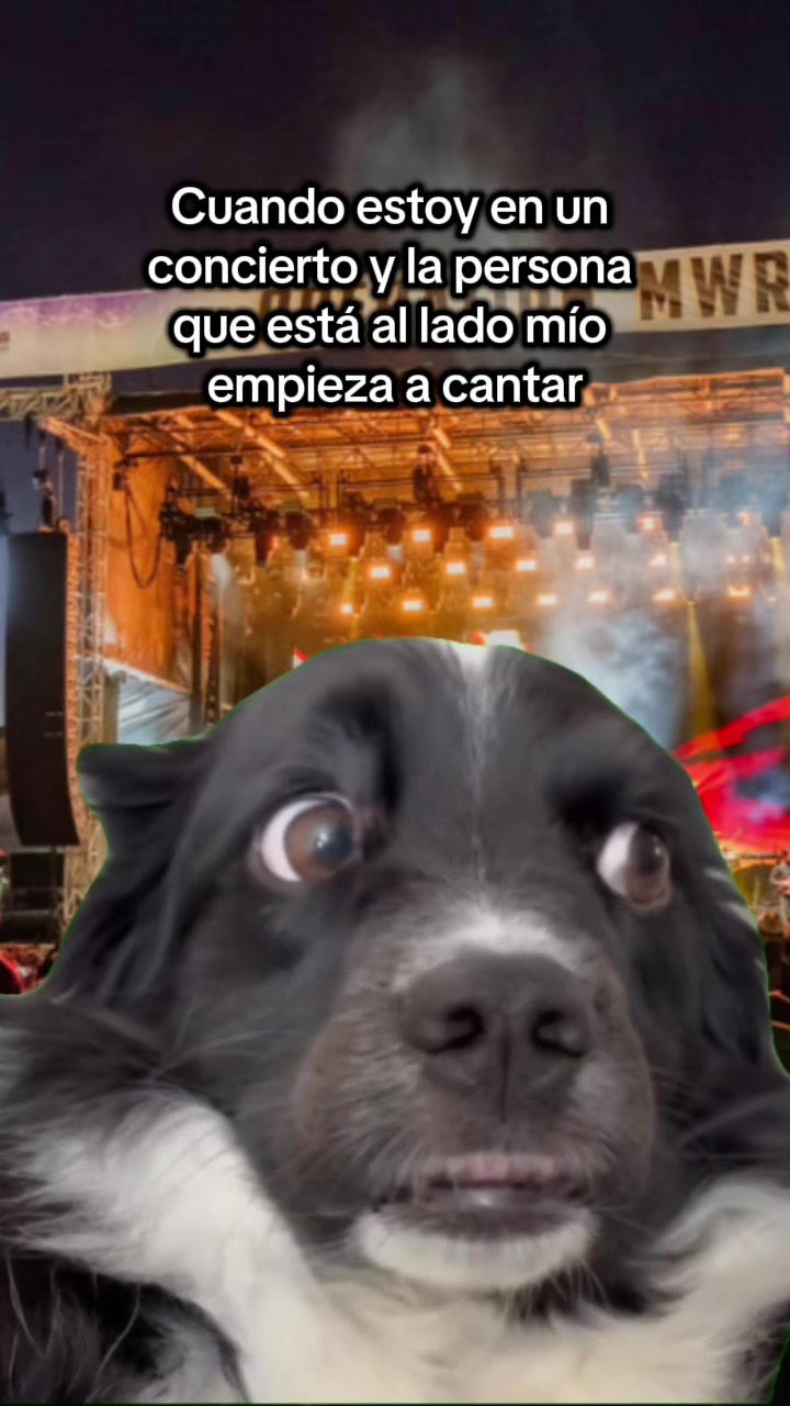 @gesica acosta