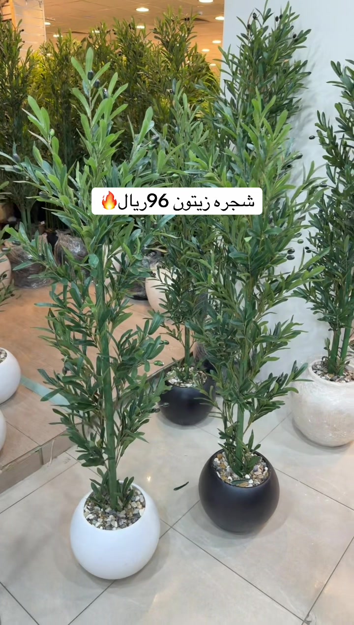 @العروبة سنتر