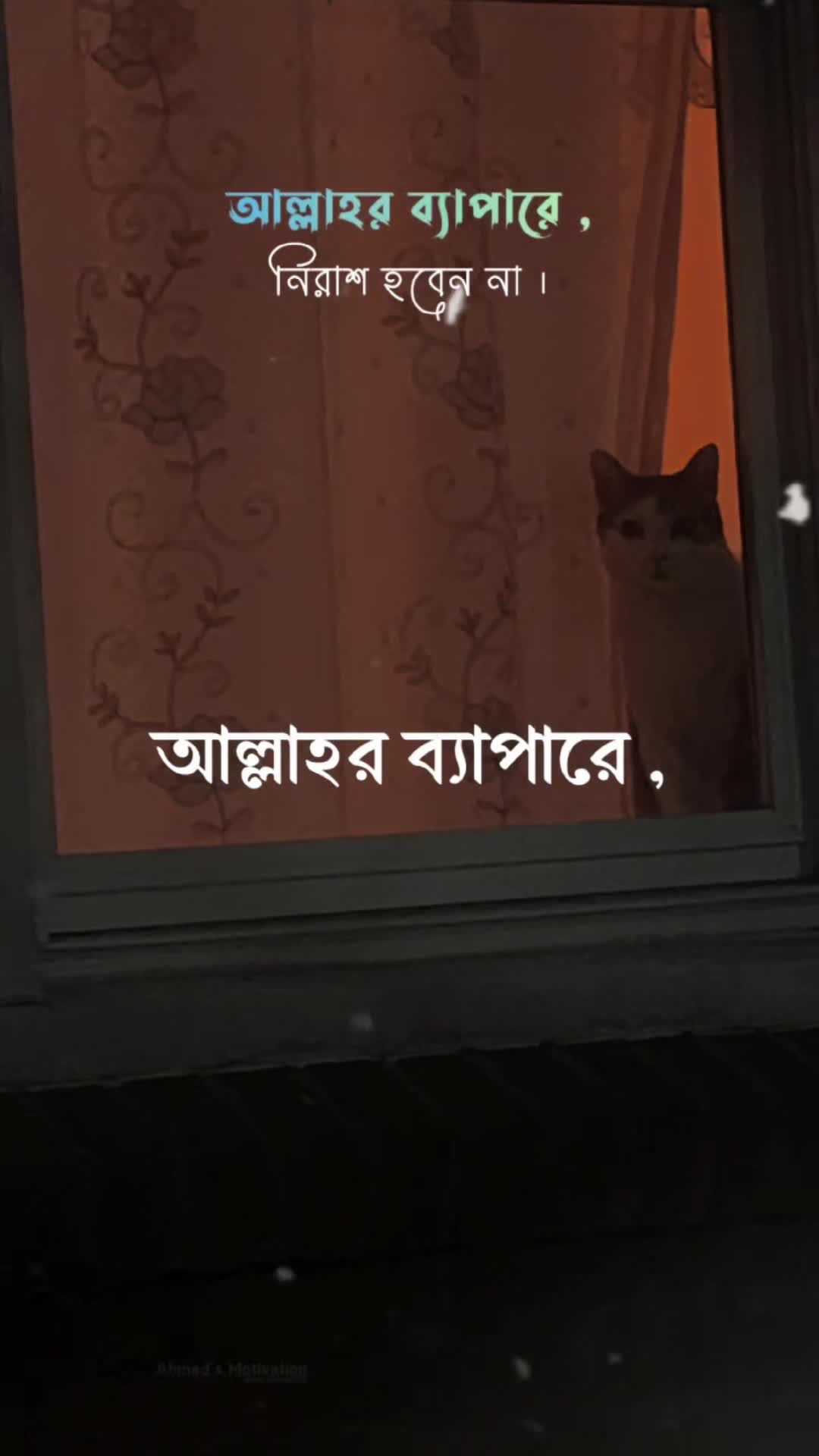 @আহমেদ ফয়সাল🇧🇩