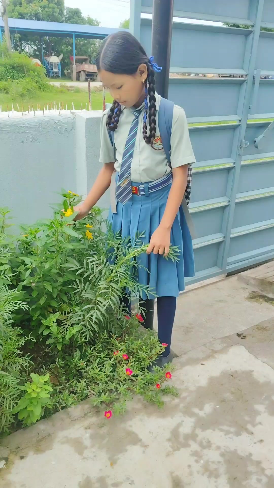 @Dipa gharti