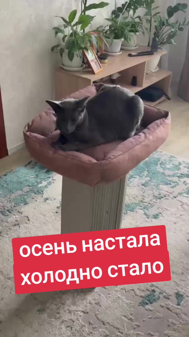 @Лена В