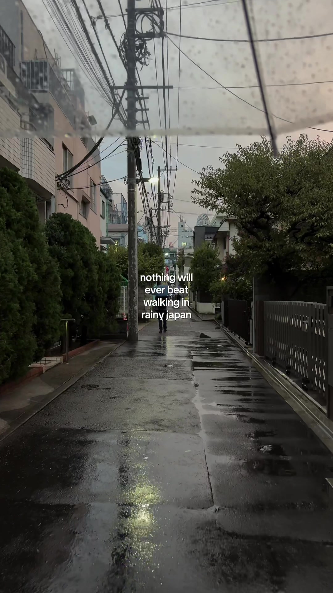 @umai⋆𖦹 ݁˖˚⊹