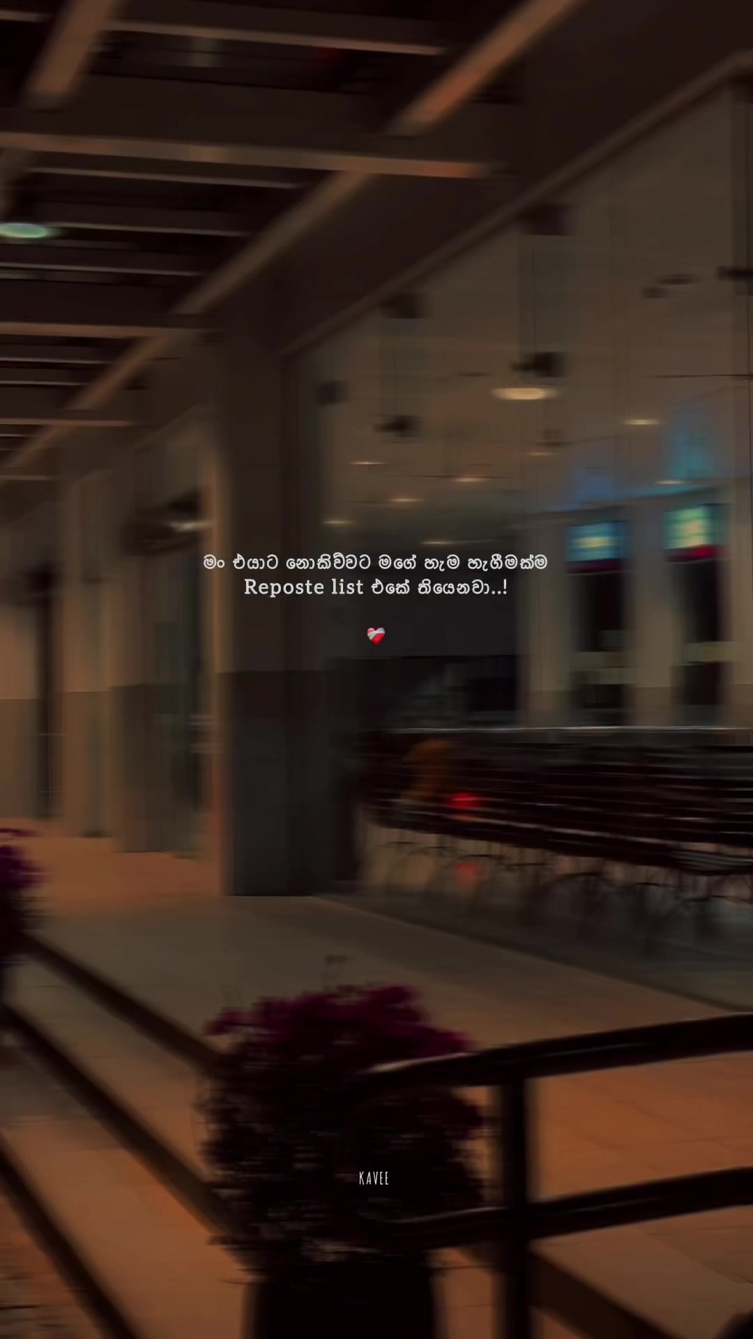 @𝑲 𝑨 𝑽 𝑬 𝑬 🪼