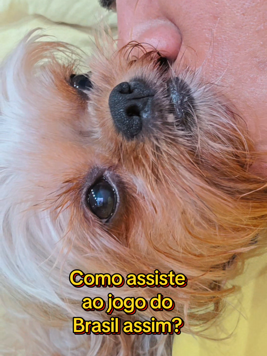 @Trio Pet Love