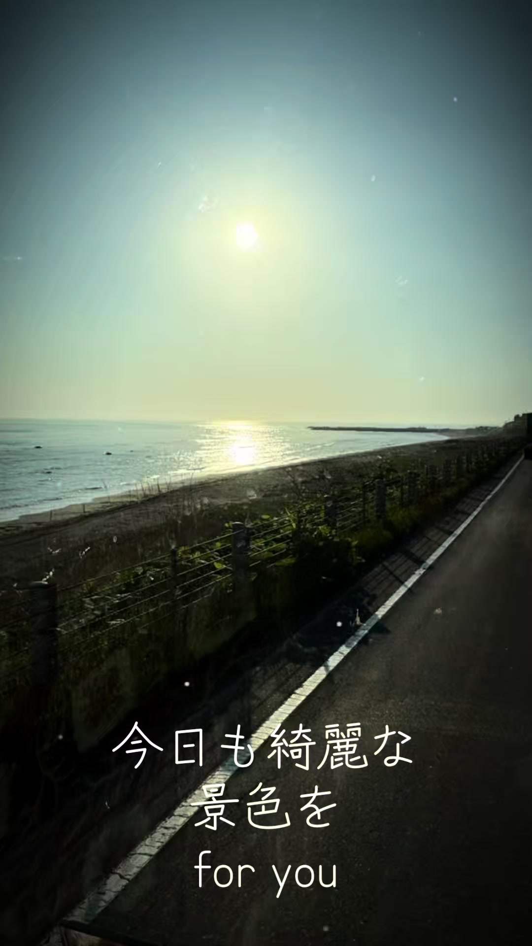 @桜丸