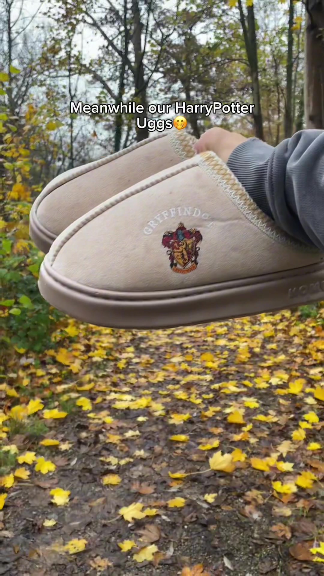 @PotterSlides