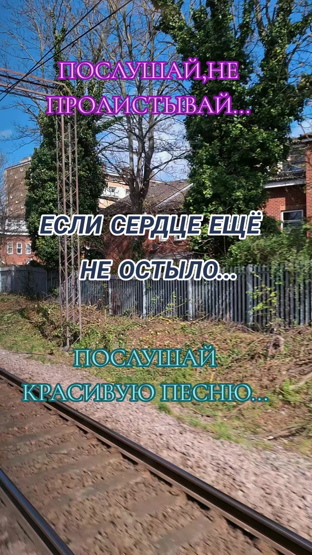 @Алёна А