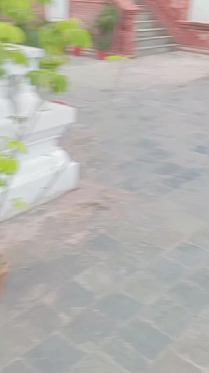 @🫶💐
