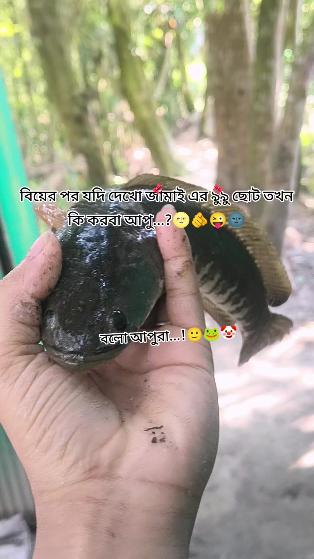@(っ◔࿐🐸🫦দুষ্ট দাদু🫦🐸࿐(っ◔◡◔)っ