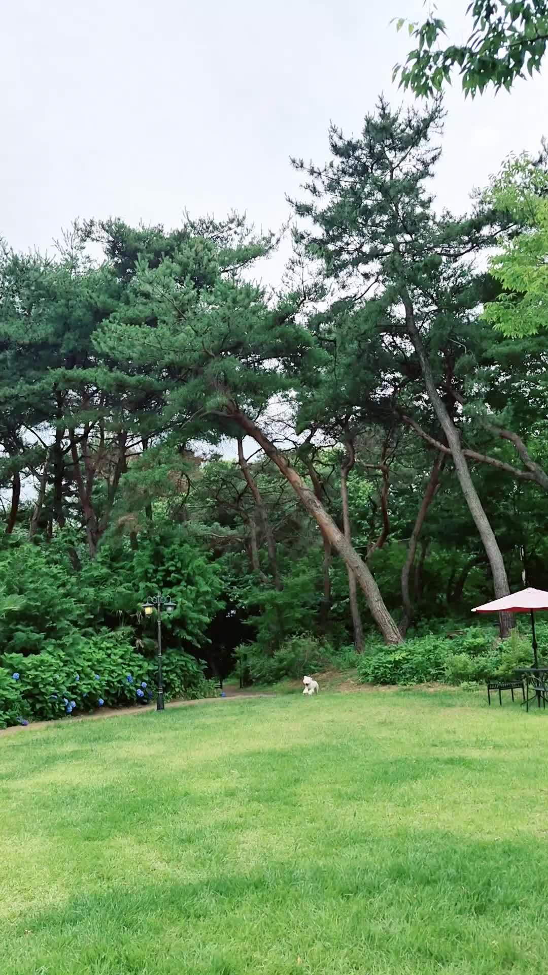 @캔디