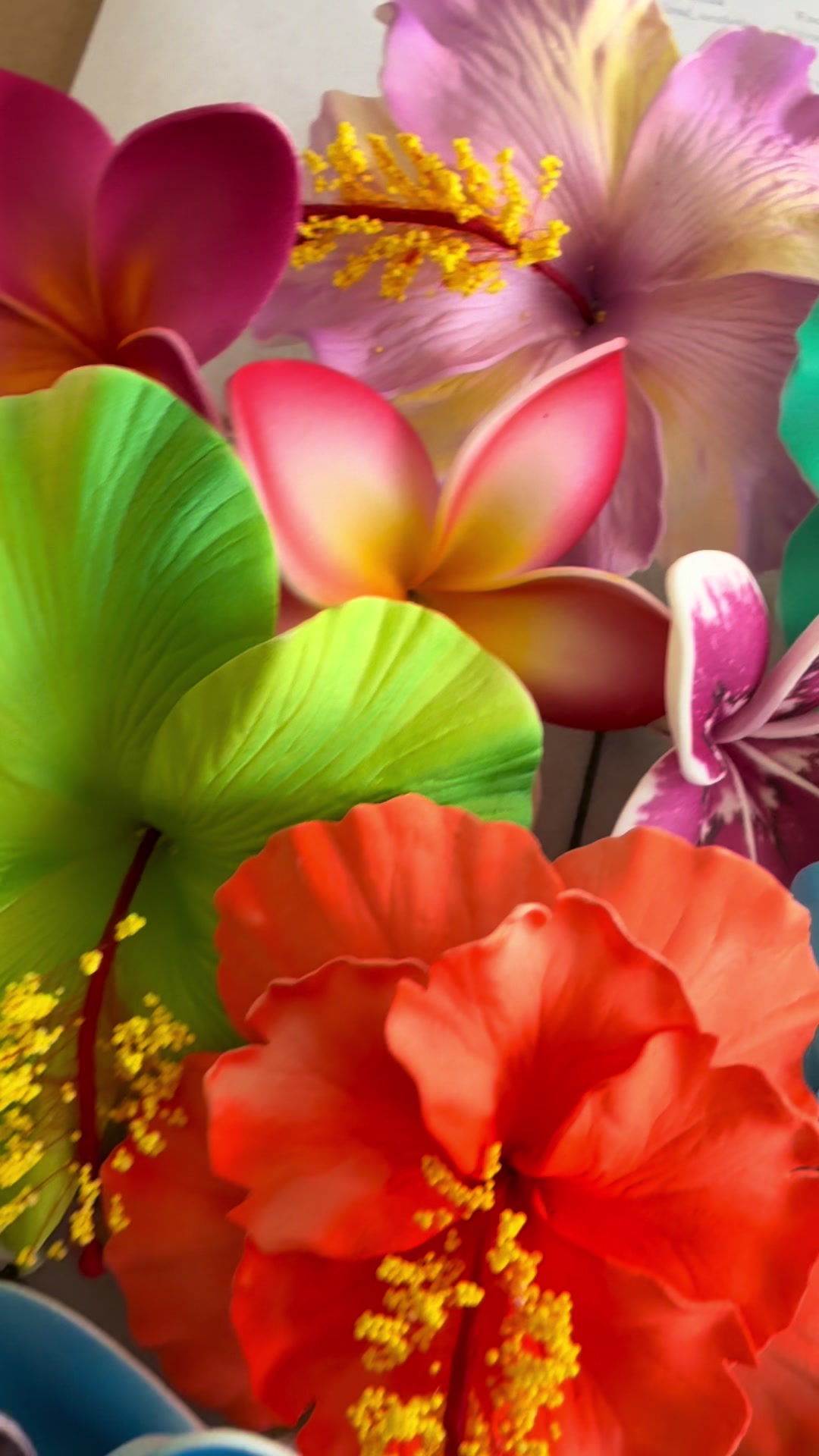 @Island Aesthetica 🌺 Pasifika