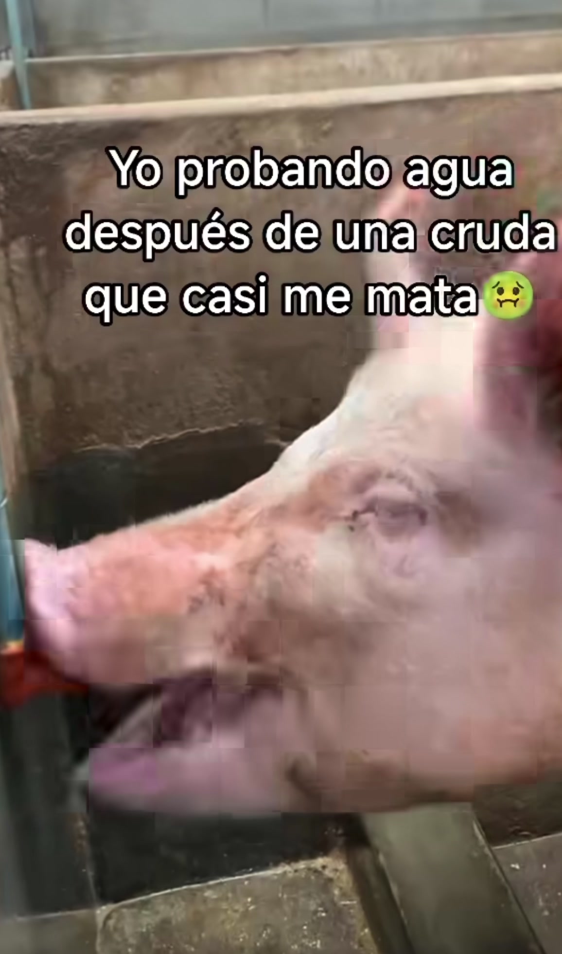 @Kayejero