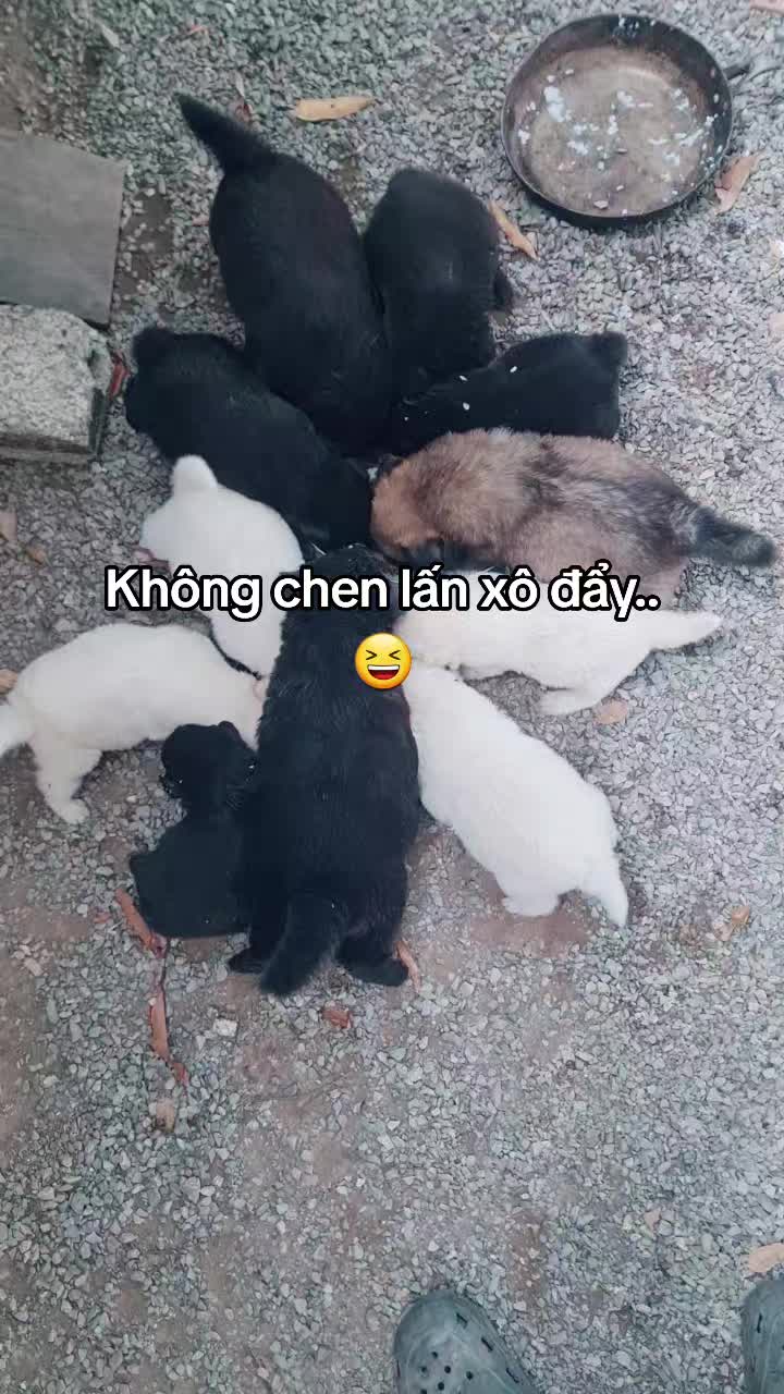 @๐ฆ๐ฆ๐๐ญ๐Ô๐น๐ฒ๐๐ฆ๐ฆ