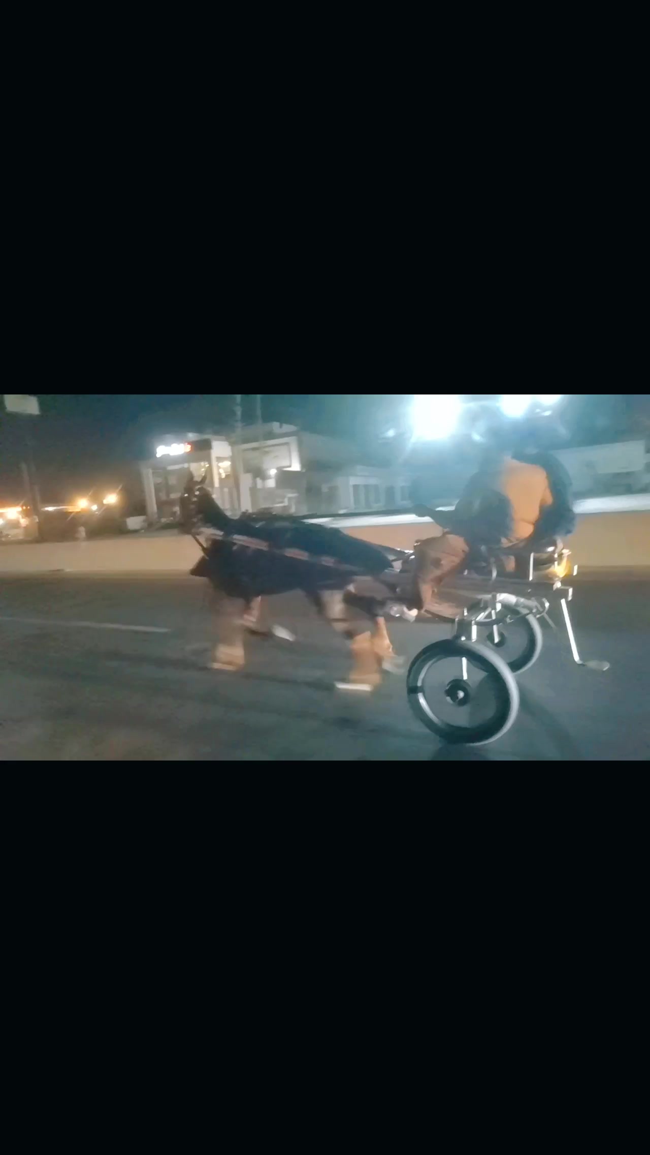 @Badshah-Gujjar