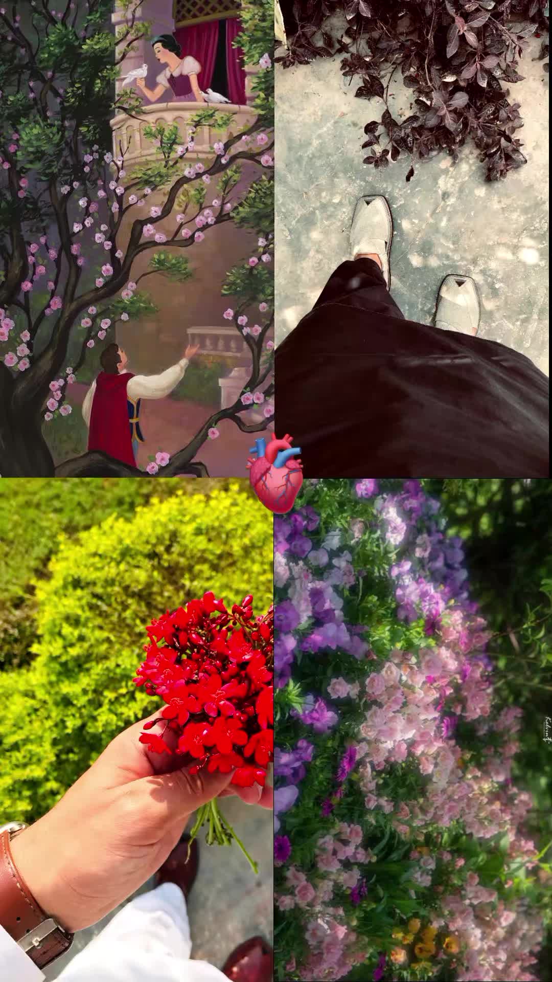 @T k 👑