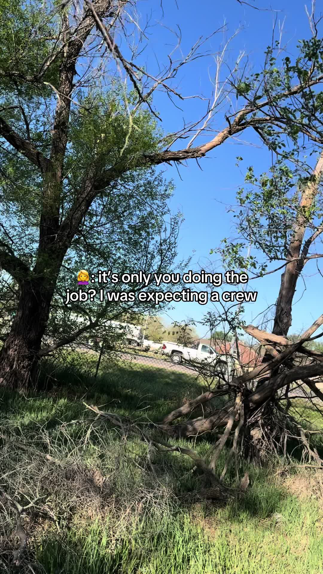 @Zy