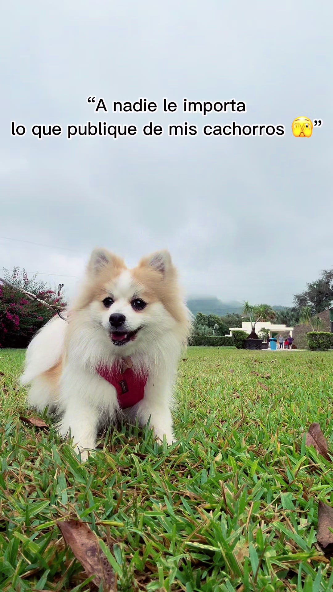 @Dallana y Dexter🐶