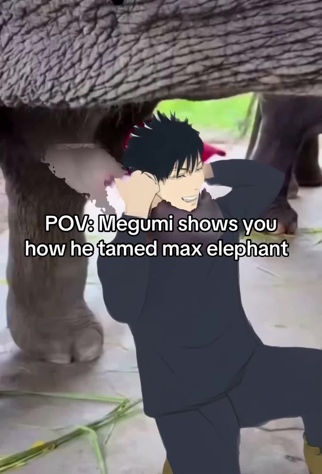 @Milkies/Echidna