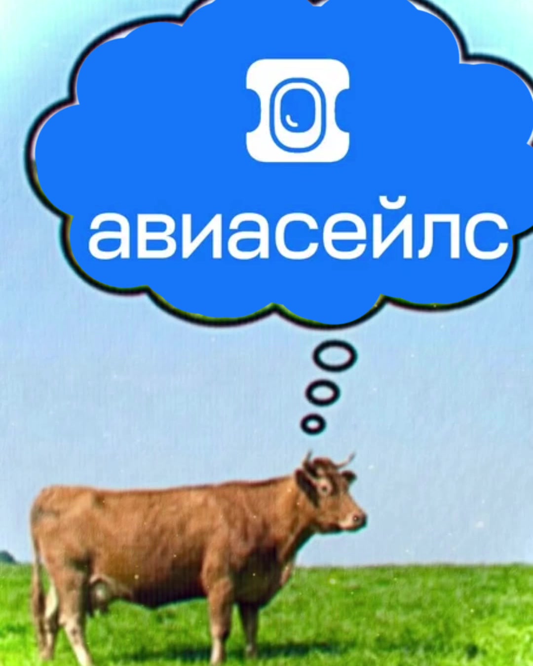 @Aviasales Беларусь