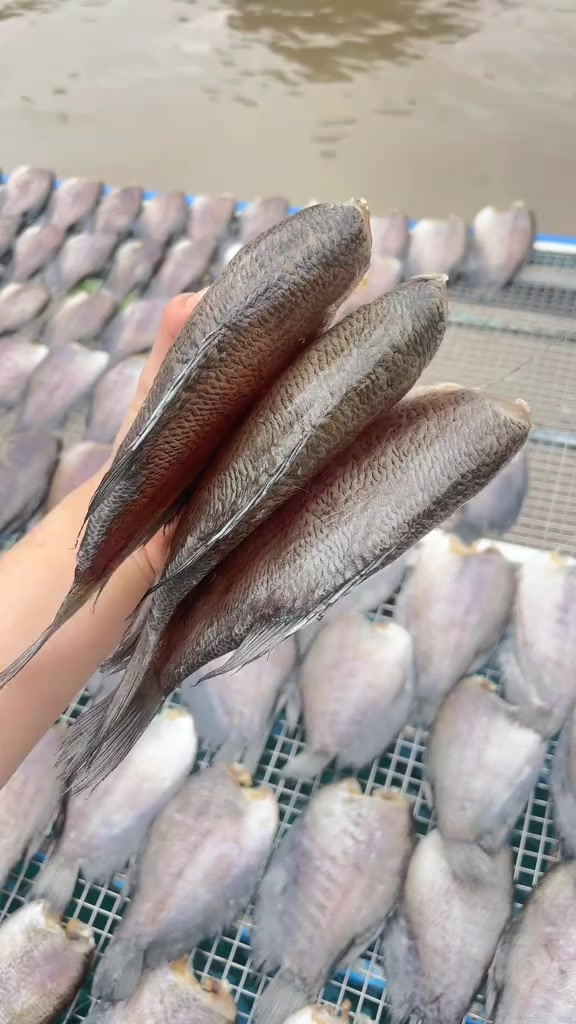 @Quốc Kh&aacute;nh