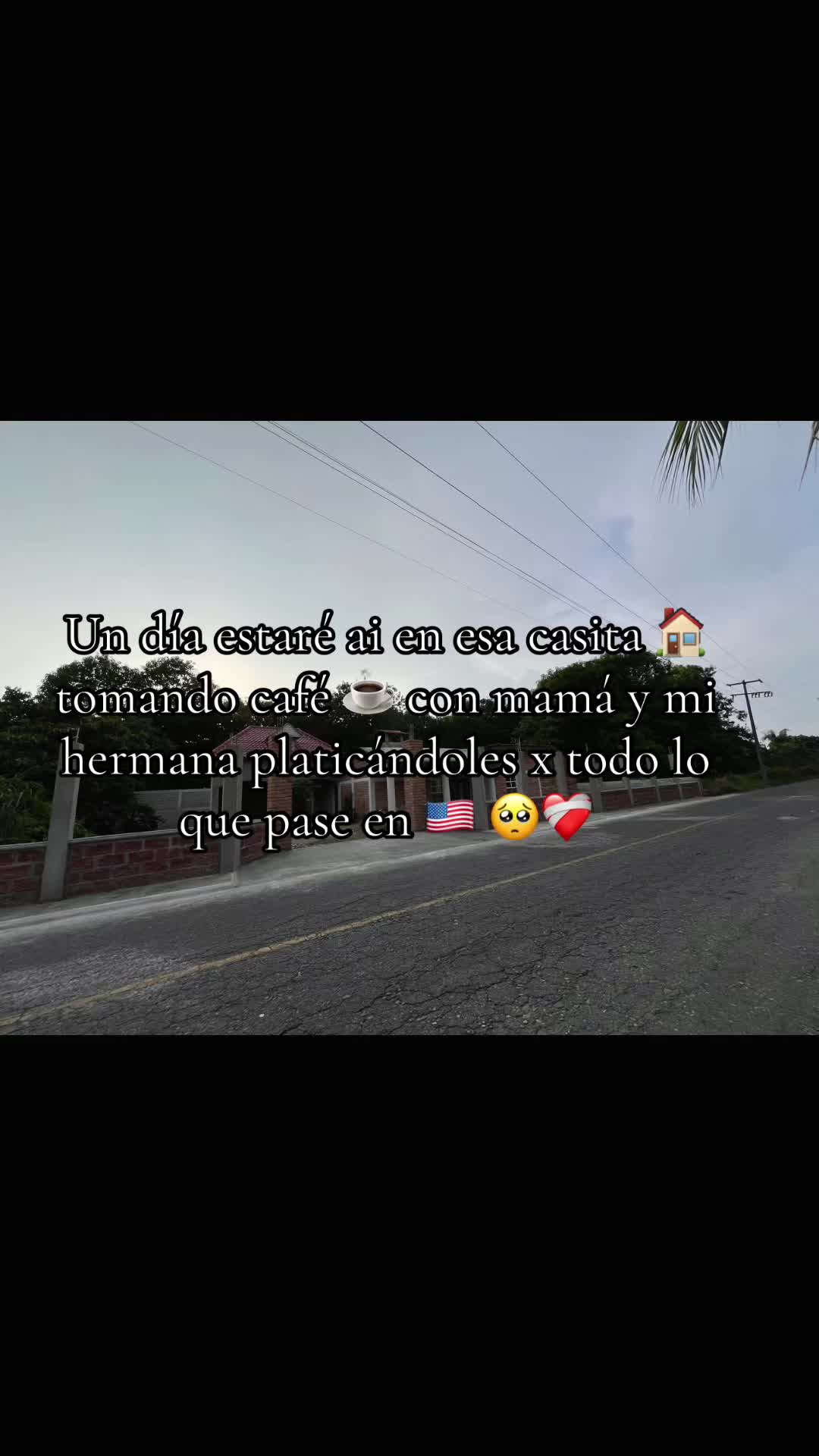 @marisolreyes1118