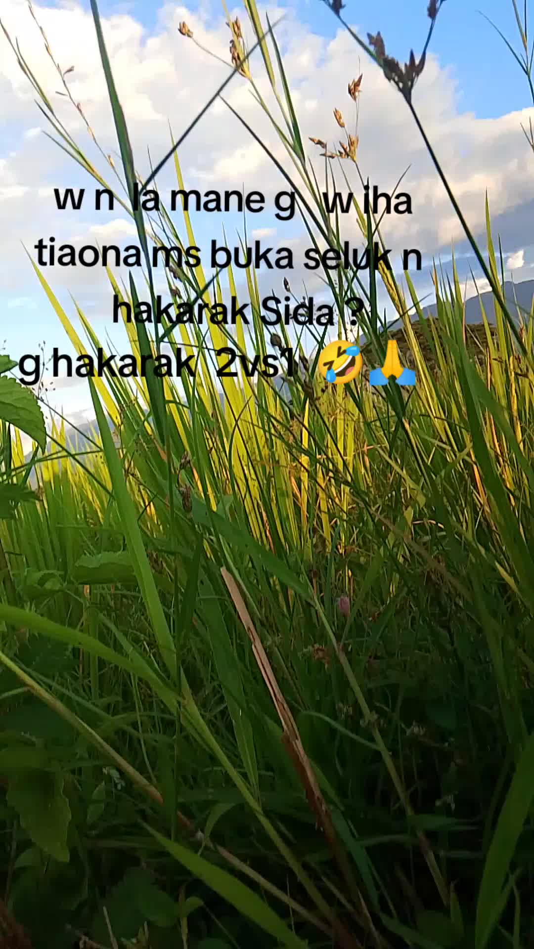 @Tapel maliana