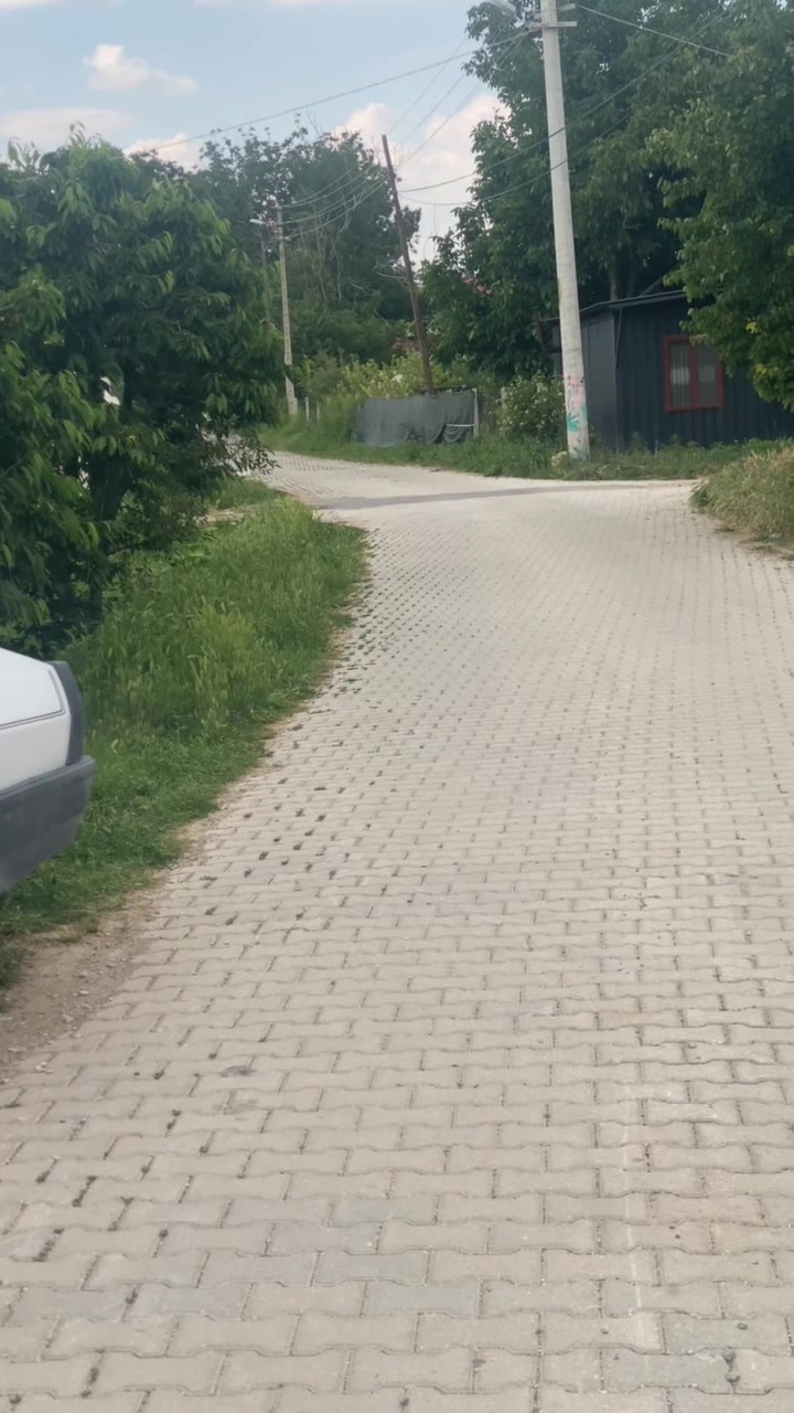 @KonyalıMüco4268