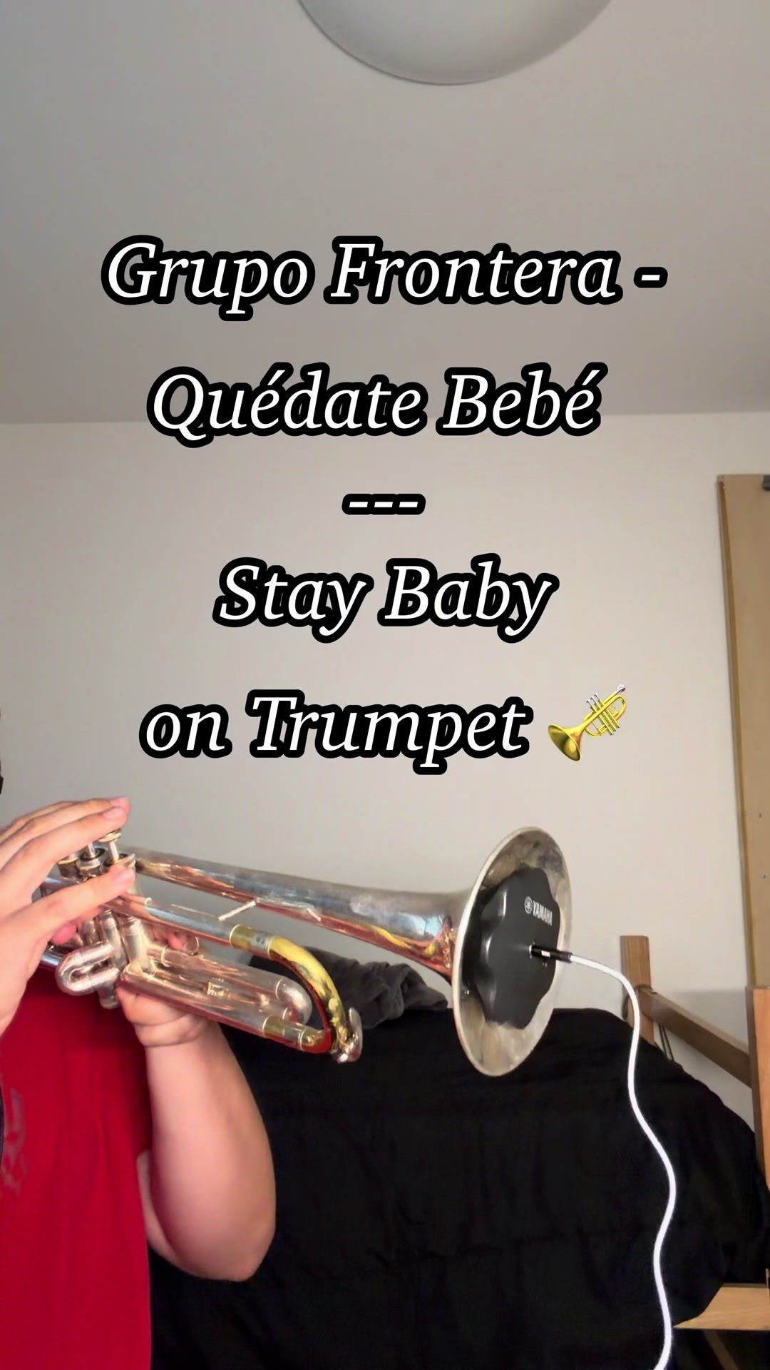@mexicantrumpetboy