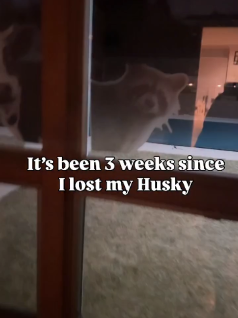 @freezinghusky