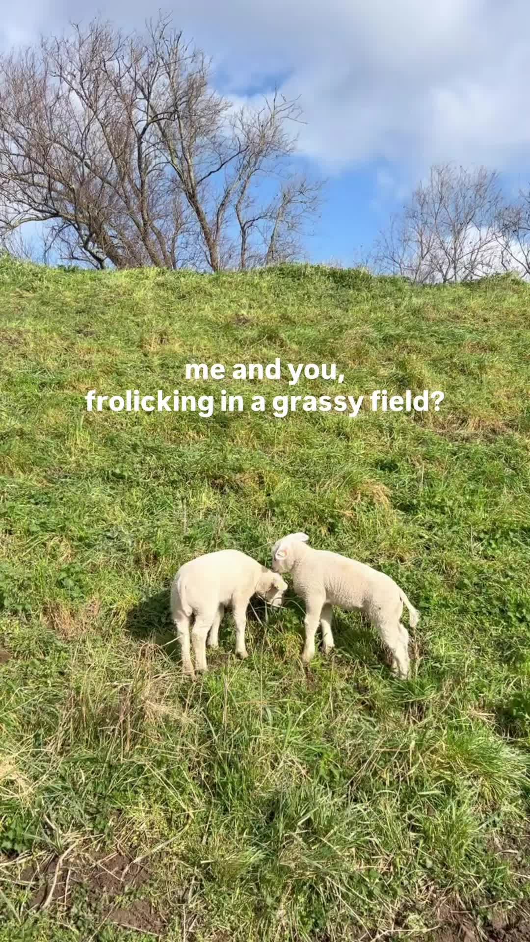 @Calm