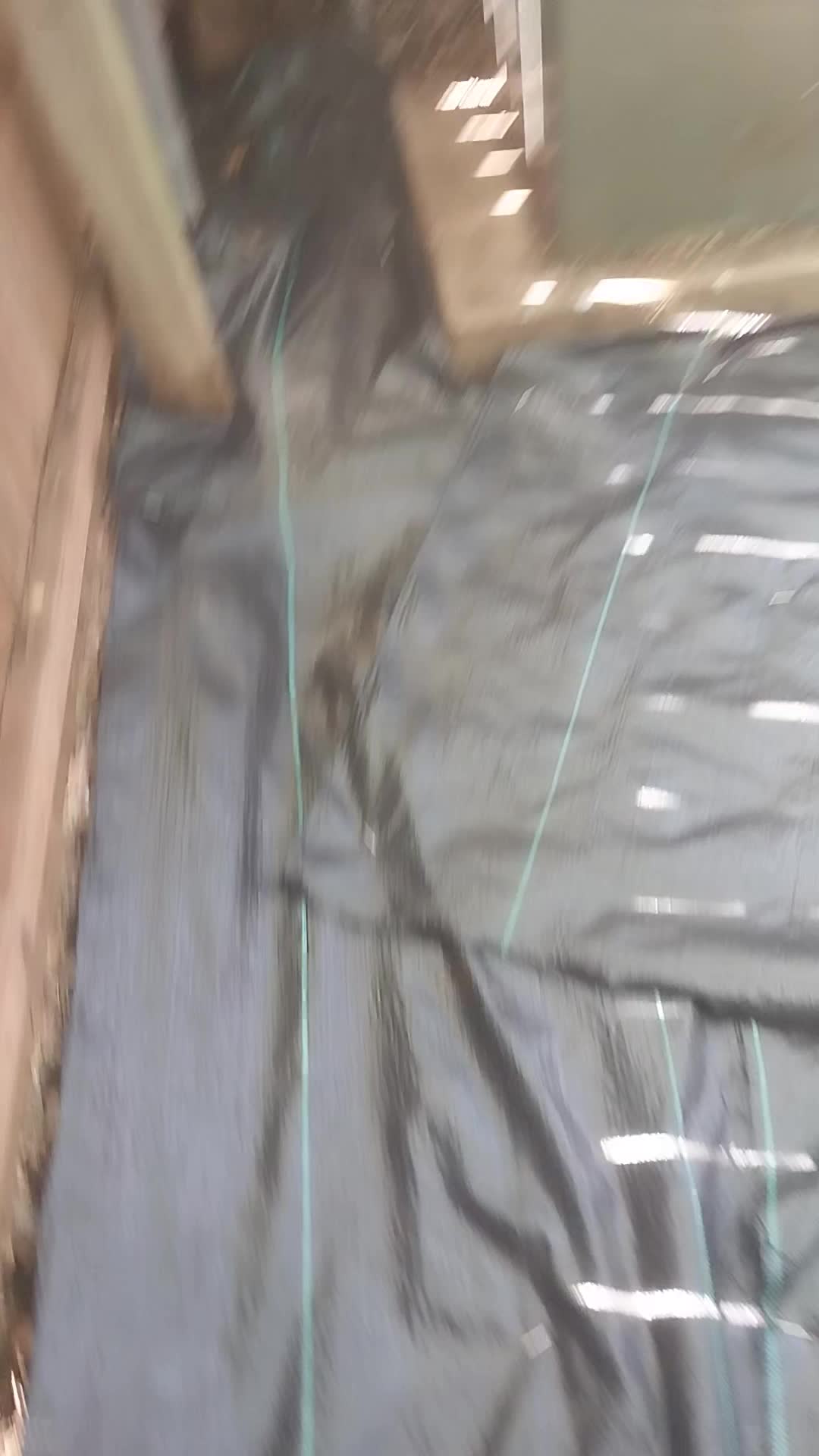 @JG Garcia70725