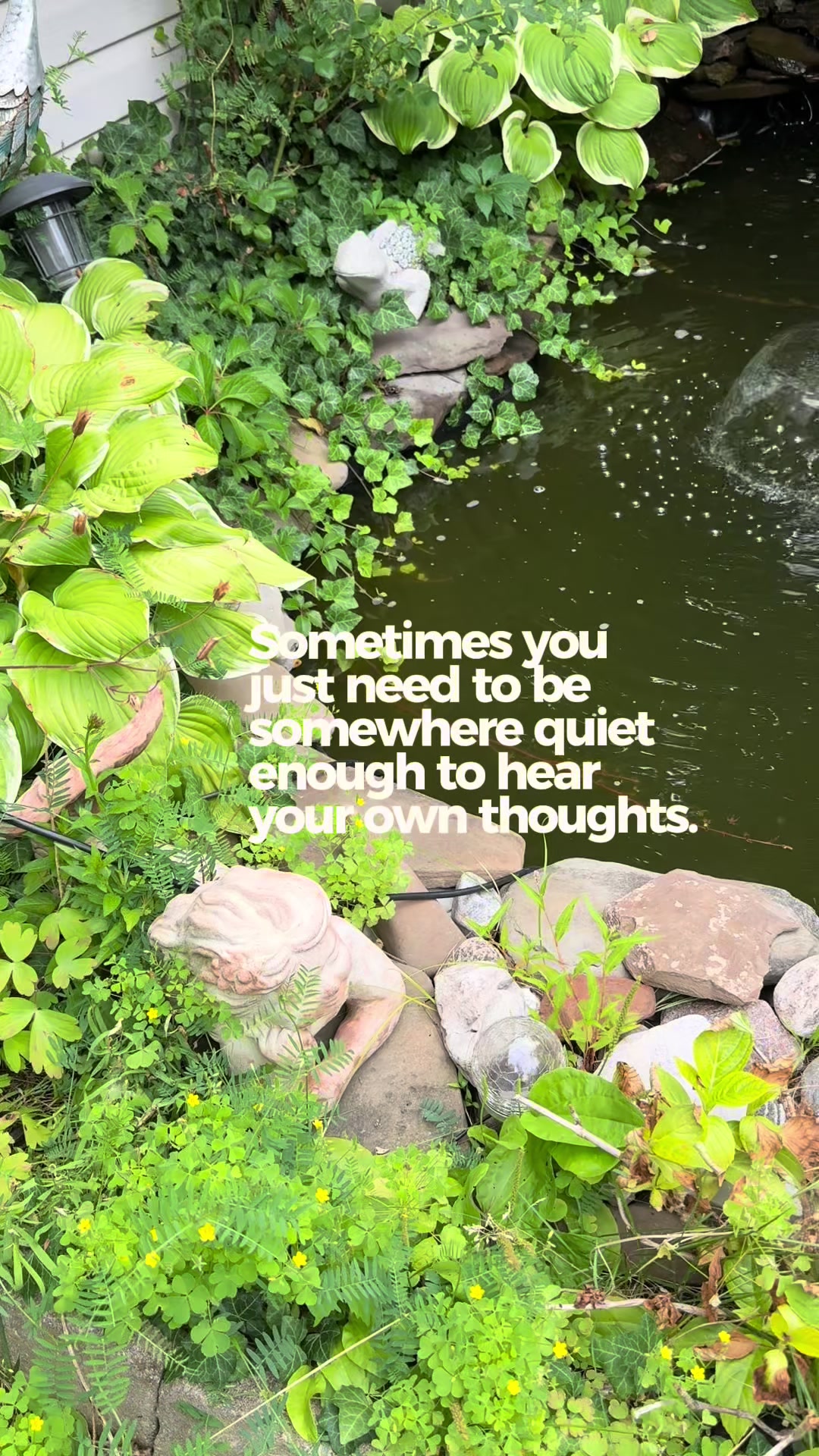 @MagicwithTeresa 💫