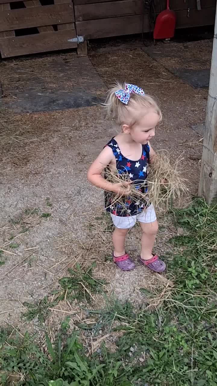 @Taylor | Sah{farm}m