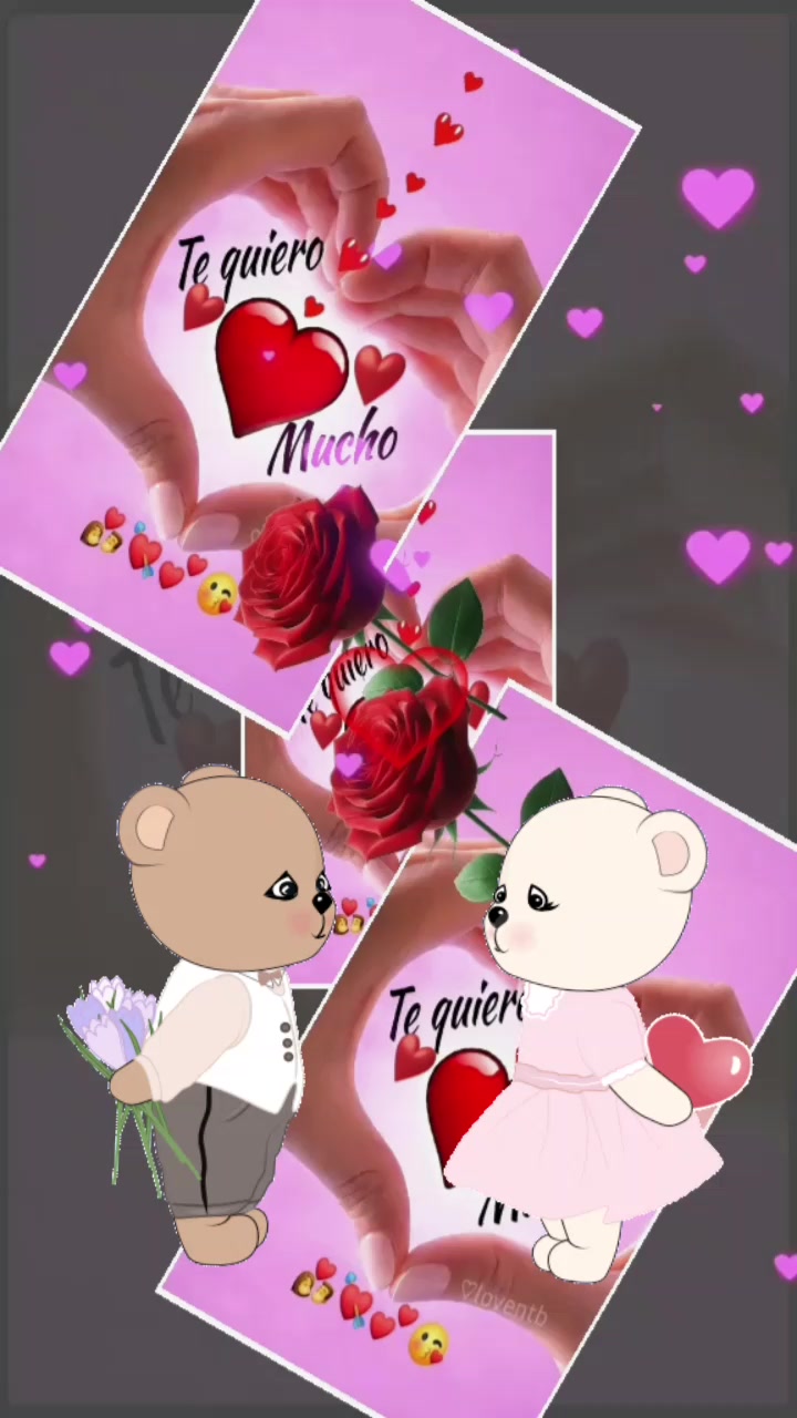 @Any ❤