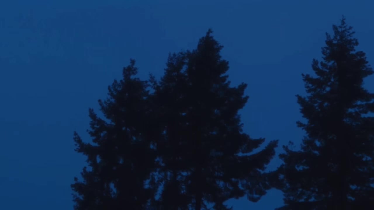 @walrusskull