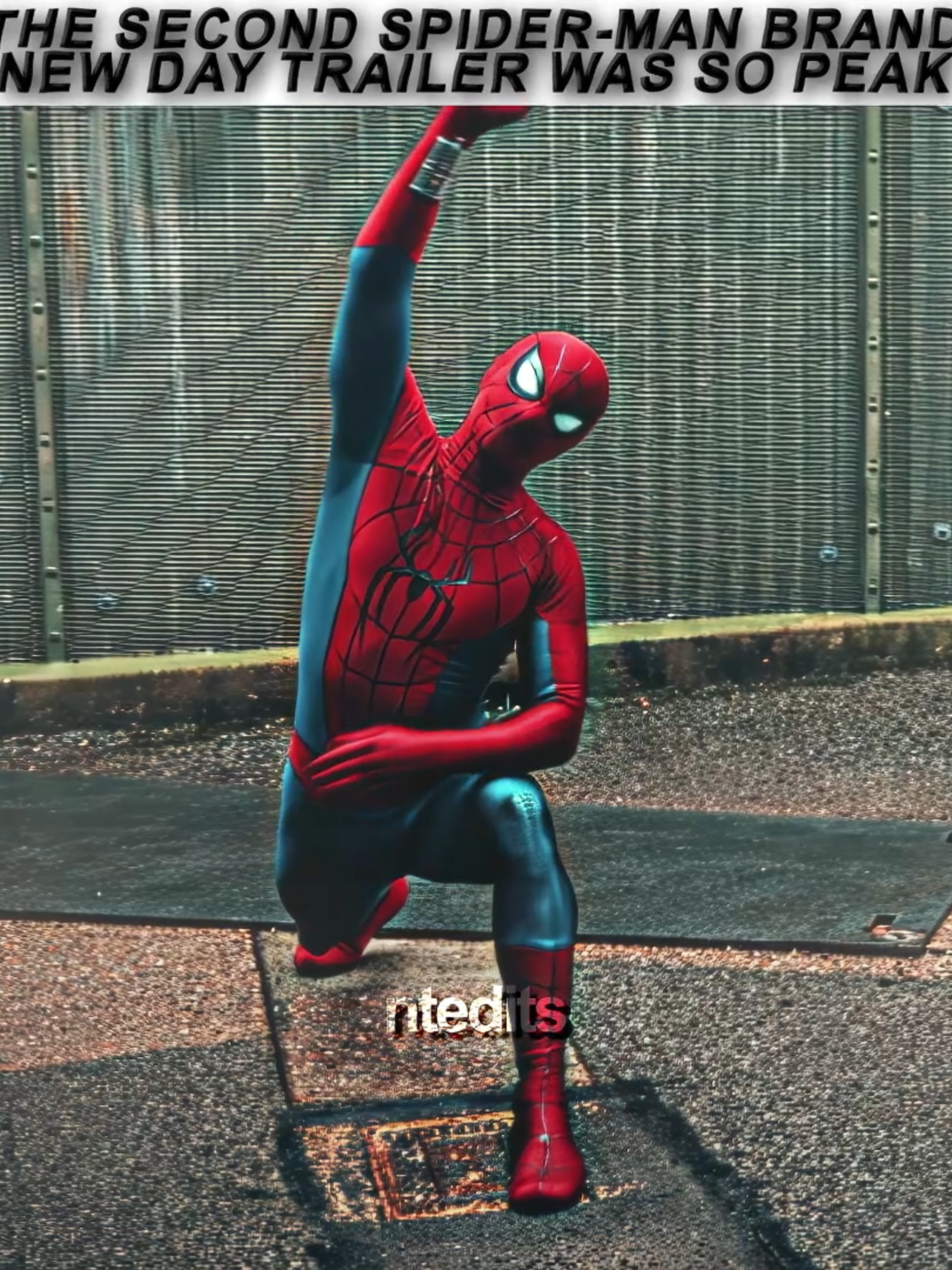 @ntedits