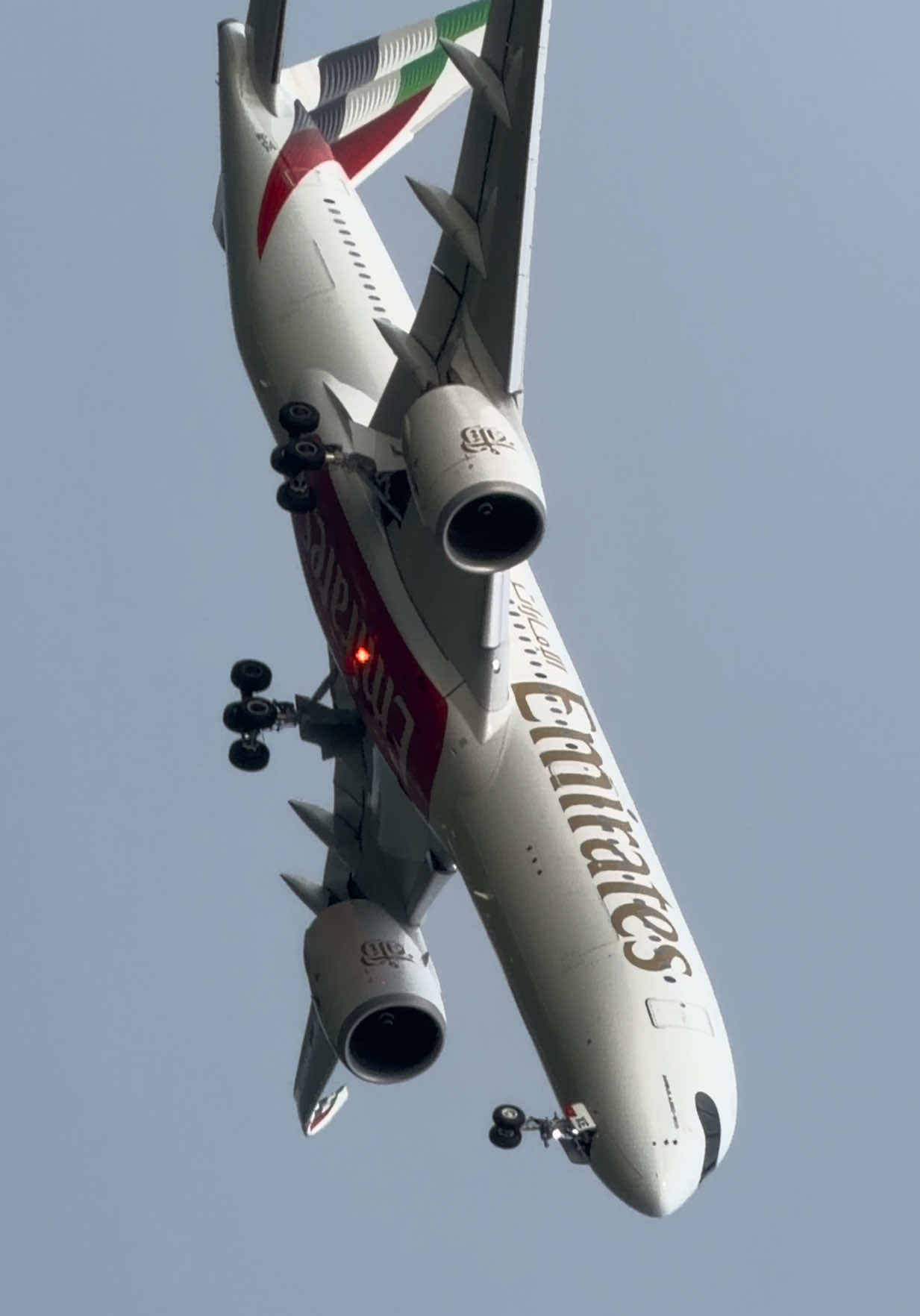 @AvGeek [MJ]