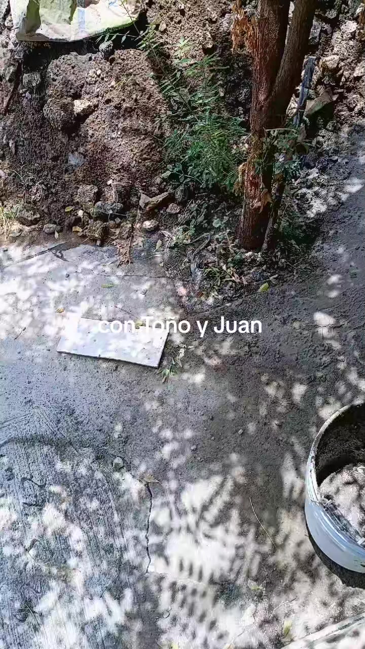 @negro jarocho