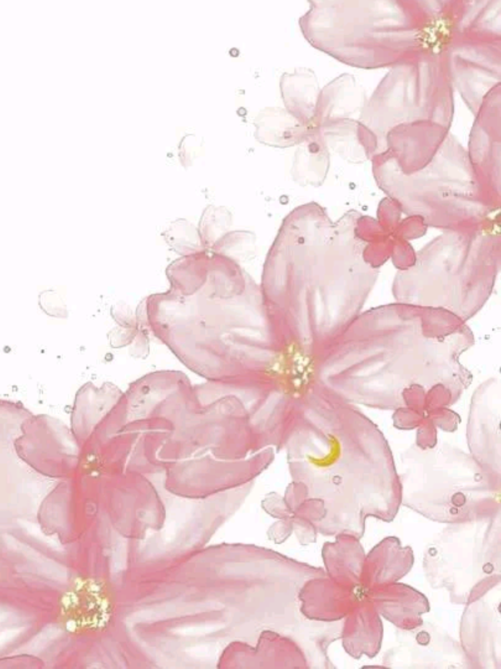 @ּ֯ . 𓏲ּ𝄢 ּ֯ ┆꒰ 𝓚íɾᥲ .ᐟ ꒱