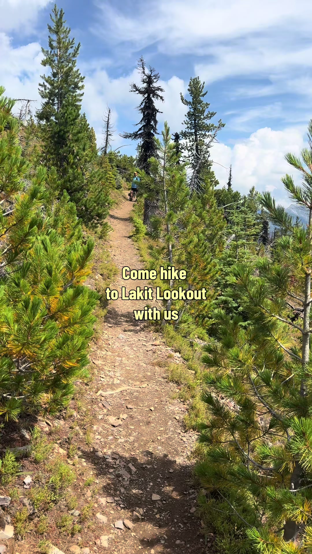@Hike with Meg🌲🏔️🥾