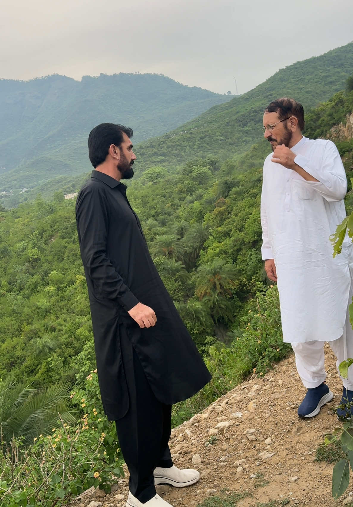 @Farid Mehsud