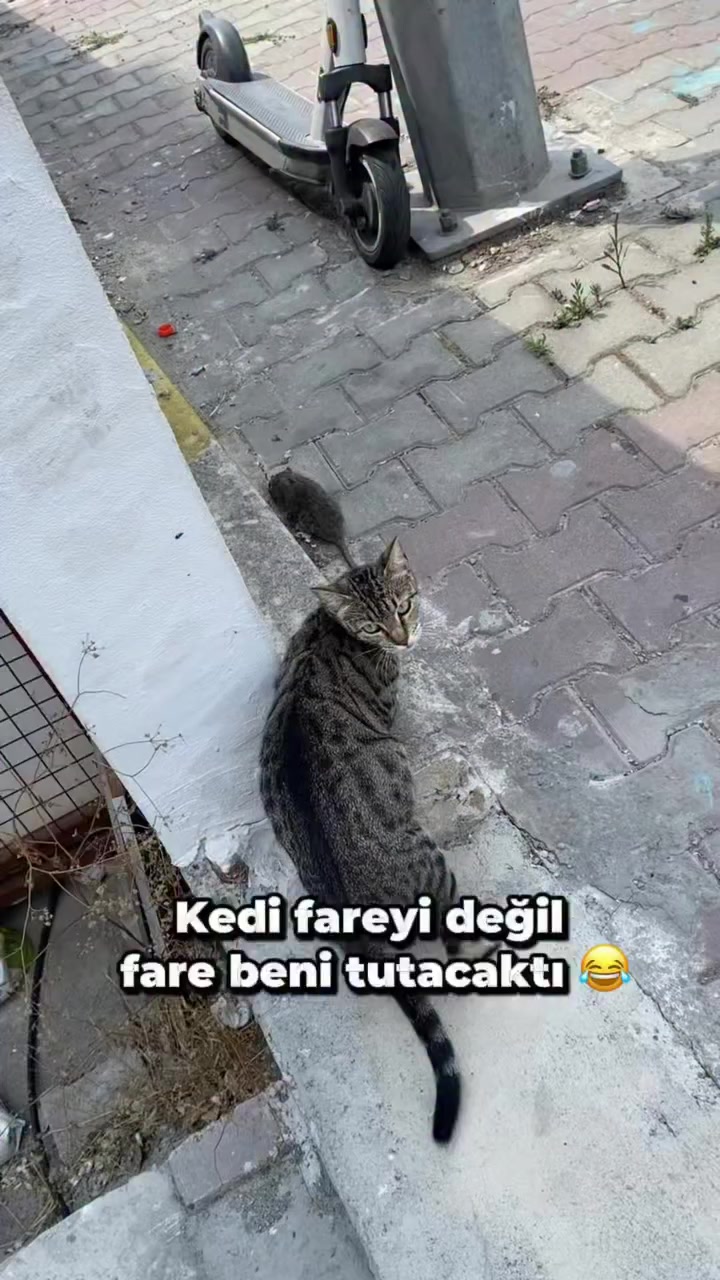 @tezcan_tekbas