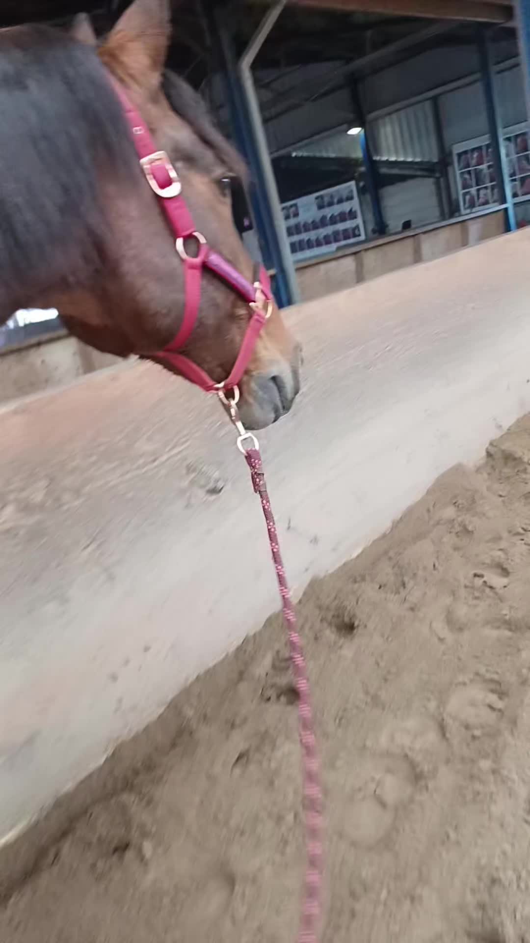 @equi_mandy