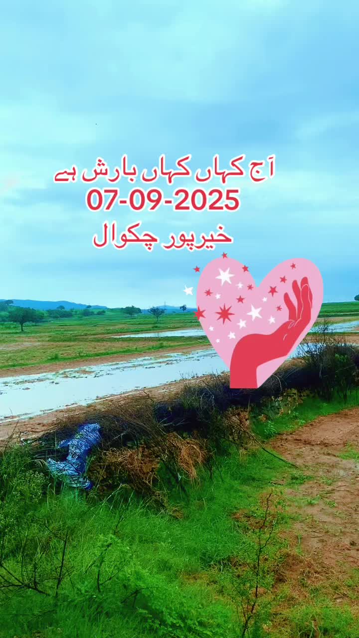 @DXN malik_tajamal