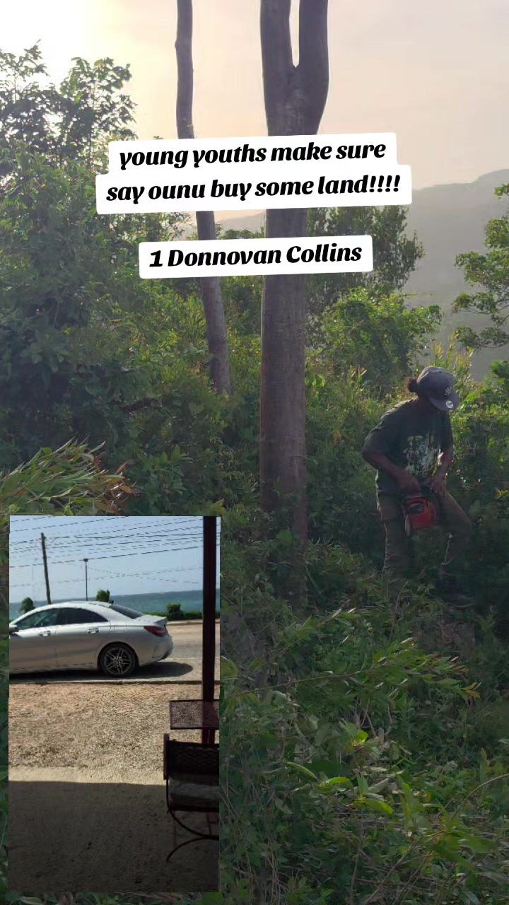 @Donnovan Collins Attorney
