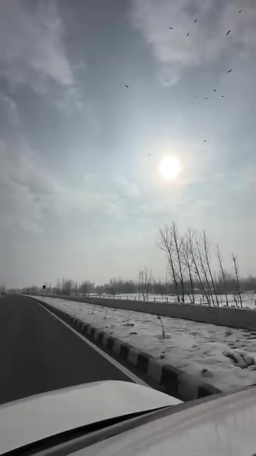 @vanshikajamwal