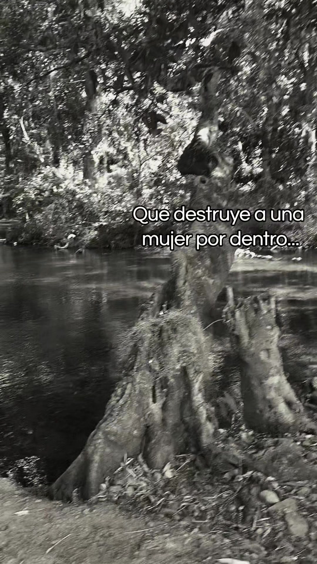 @vecky