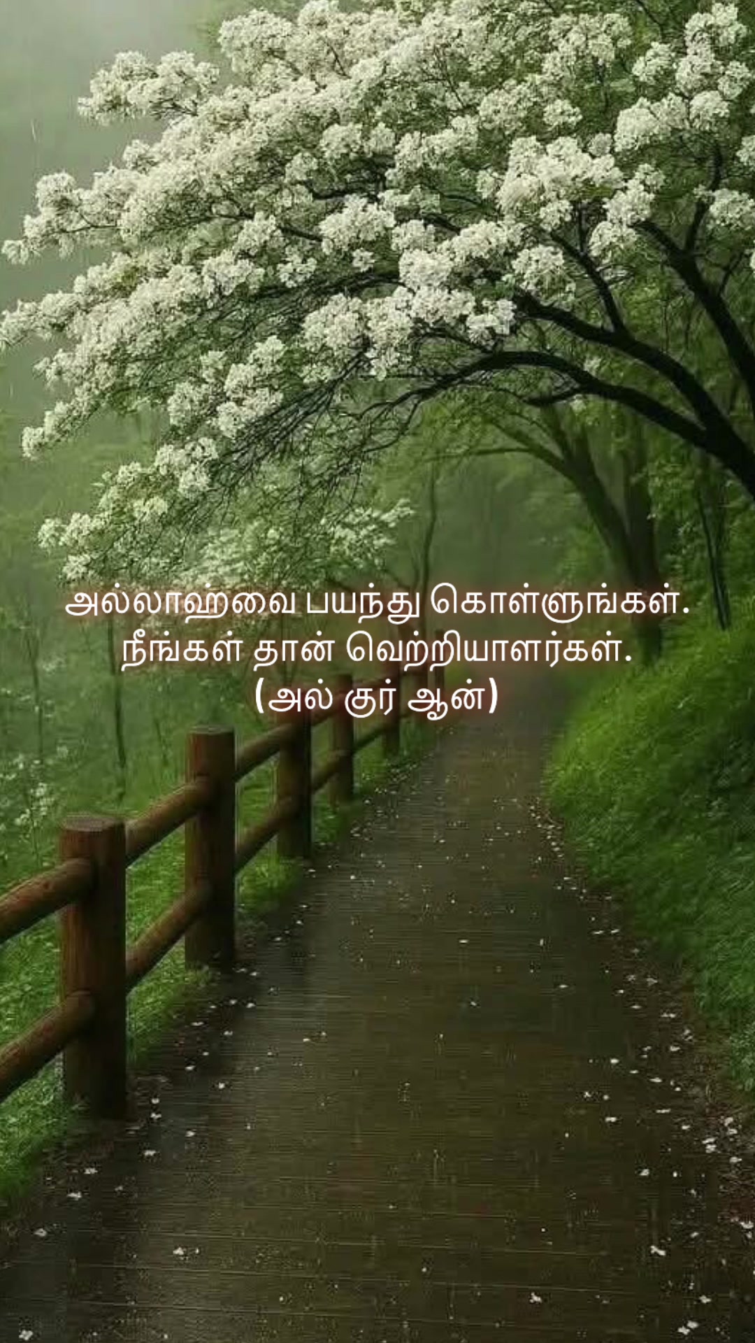 @Muslim_world☝️💌
