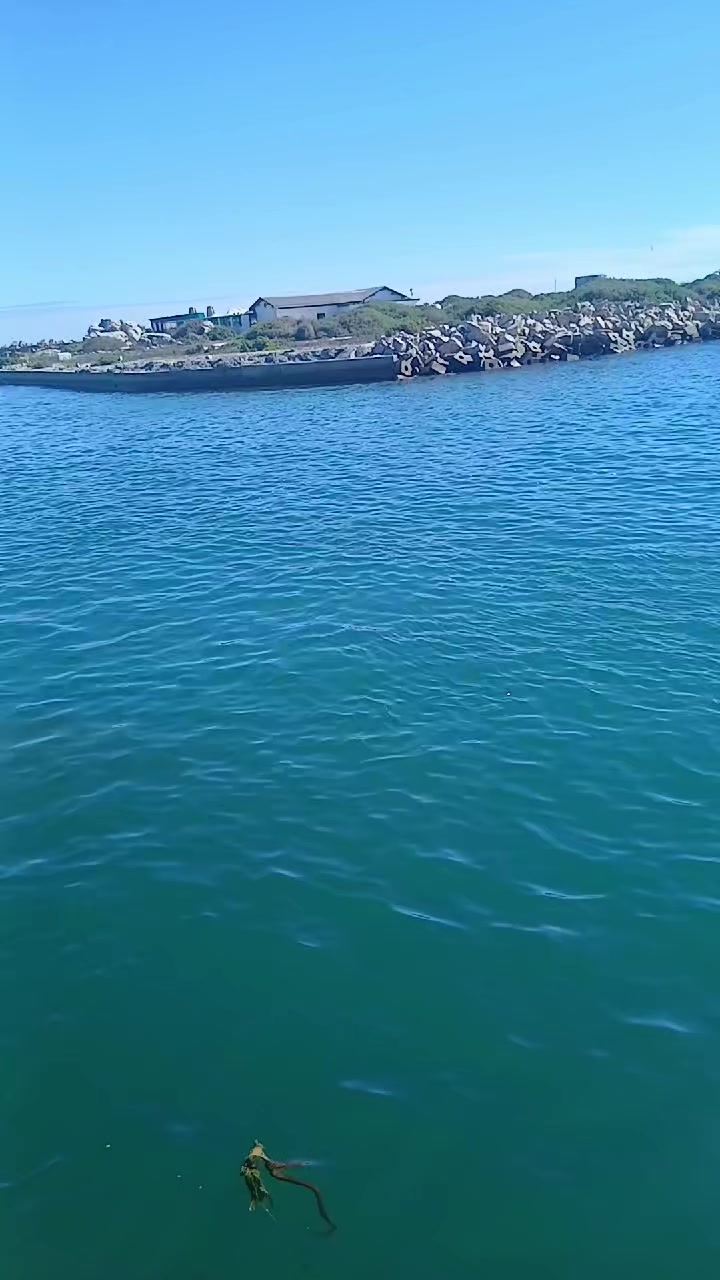 @Nishally🔥🔥#🤬